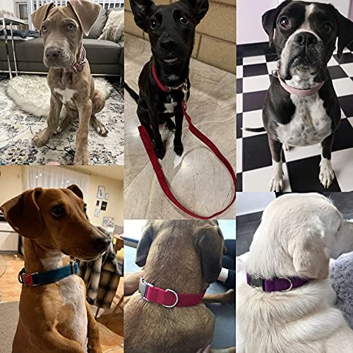 Dog Collar Custom Personalized Engraved Name and Phone Number for Puppy Small Medium Large Pets (S, Fruit Green)