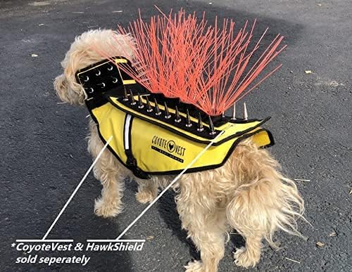 CoyoteVest CoyoteWhiskers Protection Nylon Bristles for CoyoteVest or SpikeVest Dog Harness Vest, Dog Accessories That Deter Coyote, Hawk and Raptor Attacks (Set of 4, Blue)