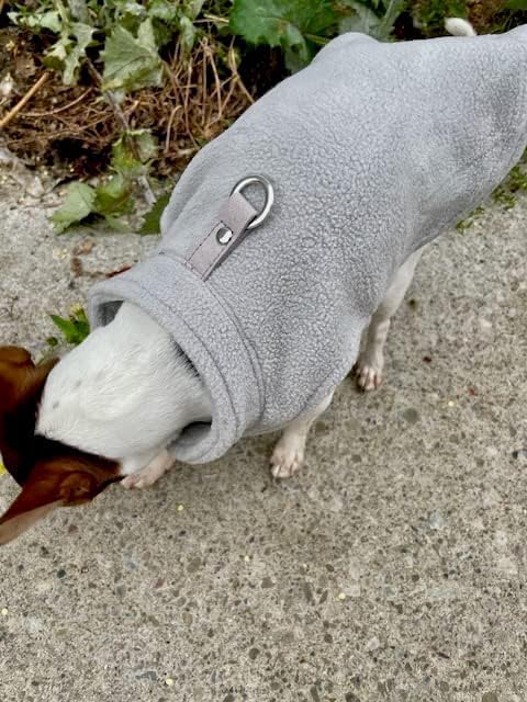 JACKO & CO - Fleece Vest Dog Sweater with Leash Ring - Soft, Warm & Lightweight Pullover Coat for Small & Medium Dogs, Puppies & Cats - Cozy Fall/Winter/Spring Pet Jacket (Grey, X-Large 17-25lbs)