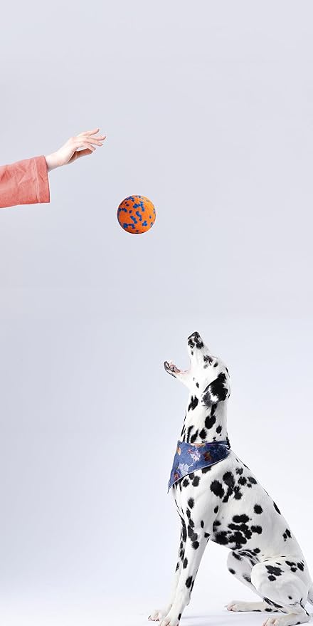 Dog Balls, Indestructible Dog Toy Ball for Aggressive Chewers, Durable High Elasticity Interactive Ball for Training Dog Catch and Fetch, Large Medium Small Dog and Puppies(Orange, 3in, 2pcs)