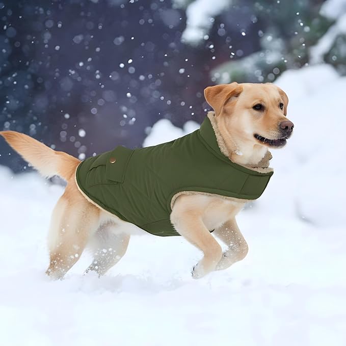ASENKU Warm Dog Winter Coat, Waterproof Dog Coat for Cold Weather, Fleece Dogs Jacket with Ultra Thick Plush Lining Leash Hole Storage Pockets for Large Dogs (Green, Large)