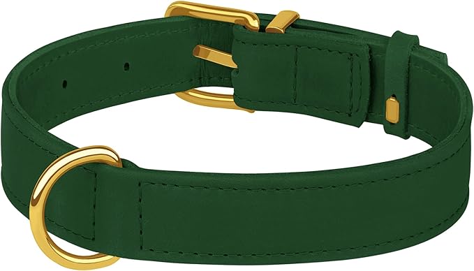 Leather Dog Collar - Heavy Duty Adjustable Soft Padded Pet Collars for Small Medium Large Dogs Breed - Black Green Brown Pink Red Blue (Green, S, 9"-12" Neck Fit)
