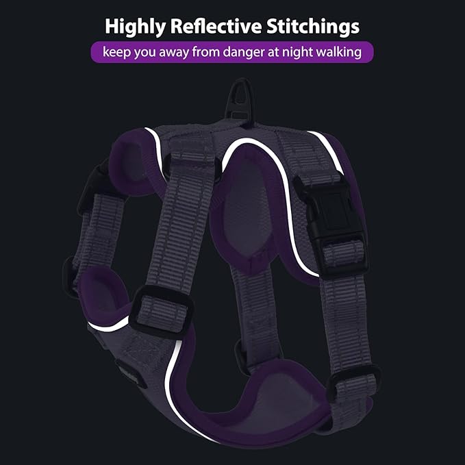Rttochfy Cat Harness and Leash Set, Adjustable and Reflective Cat Vest, Escape Proof Kitten Harness, Easy to Put on with 3 Buckles for Cats Walking and Traveling (Purple, M)