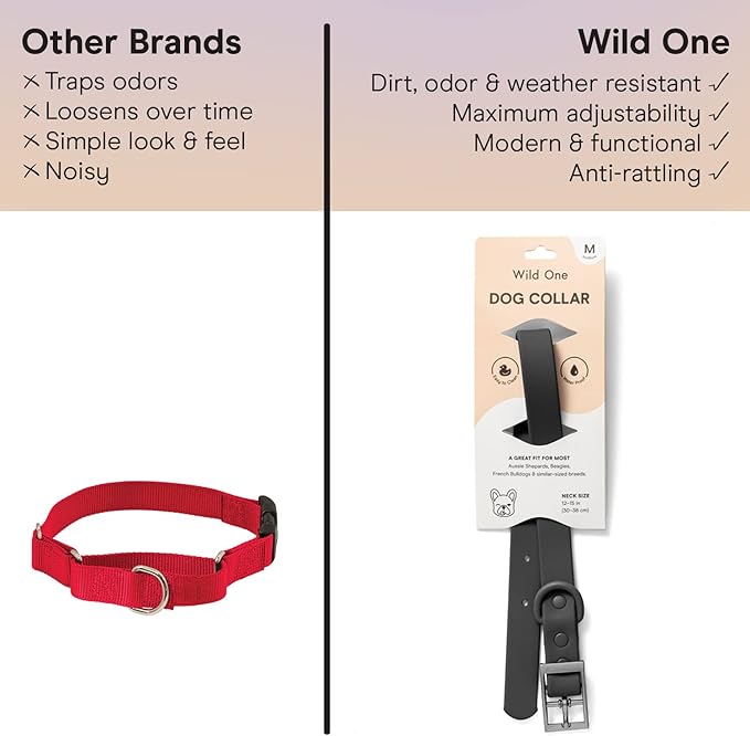 Wild One Dog Collar, Easy-Clean, All Weather Flex-Poly Strap with Metal, Durable, Dirt and Odor Resistant (Black, S)