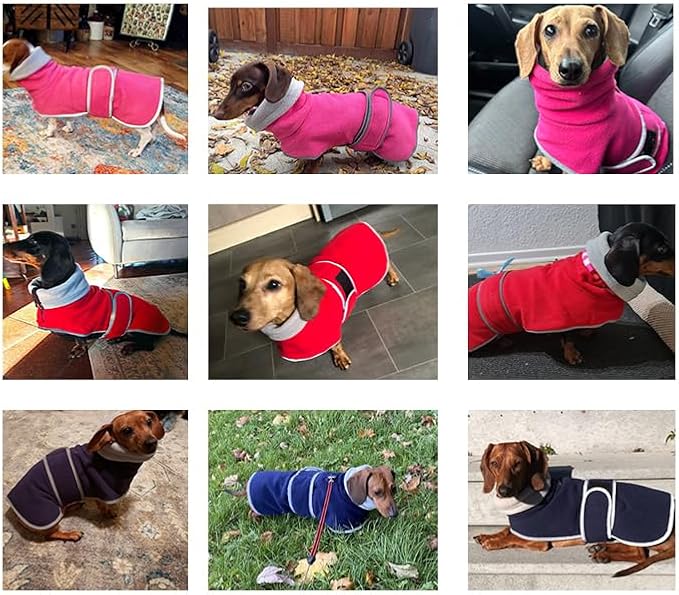 Geyecete Dachshund Sweaters for Dachshunds - Winter Coat with Padded Fleece Lining and High Collar - Dog Snowsuit with Adjustable Bands - Blue - M
