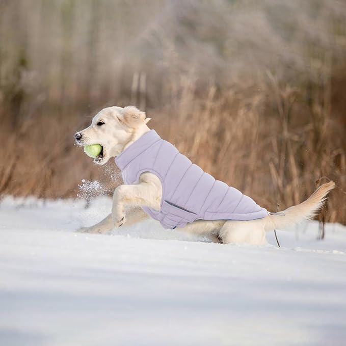 Lelepet Reversible Dog Coat Waterproof Dog Jacket Windproof Puffer Vest for Winter Warm Lightweight Coats for Large Dogs Adjustbale Hook & Loop Pet Apparel with Leash Hole, Pitbull, Purple, XL