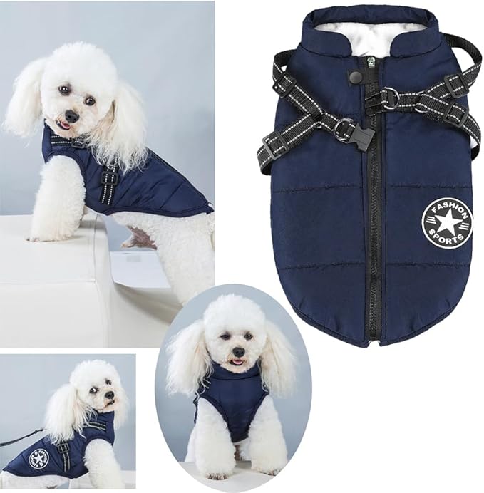 Aiboria Dog Jackets for Winter Windproof Waterproof 2 in 1 Outfit Cold Weather Coat Dog Vest Harness Puppy Winter Warm Jacket Small Blue M