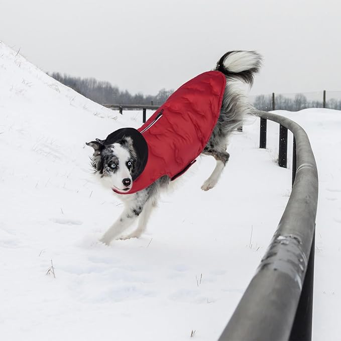 Nanaki Warm Dog Puffer Coat for Large Dogs-Lightweight Windproof Dog Coat with Hood, Water Resistant Pet Snowsuit for Cold Weather, Reflective Snowsuit, Adjustable Puffer Vest with Leash Hole, Red