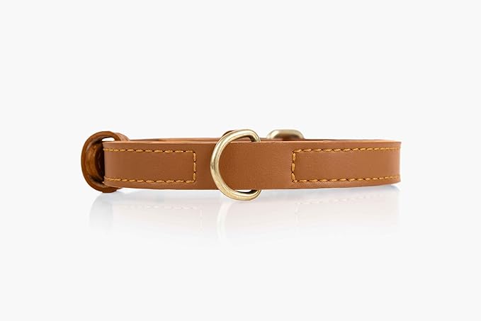 Two Tails Pet Company Cactus Vegan Leather Dog Collar, Adjustable Pet Collar With Gold Hardware and D Rings for Leash and ID Tag for Dogs and Puppies, Easy to Clean & Eco Friendly, Caramel, Size Small