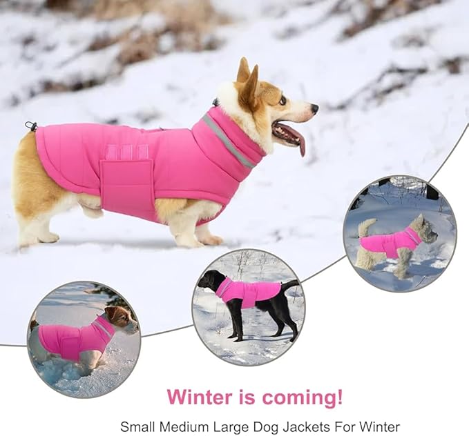 Dog Coat, Waterproof Winter Jacket, Warm Windproof Jacket, Reflective Adjustable Turtleneck Coats for Small Dogs with Hook & Loop - Pink - S