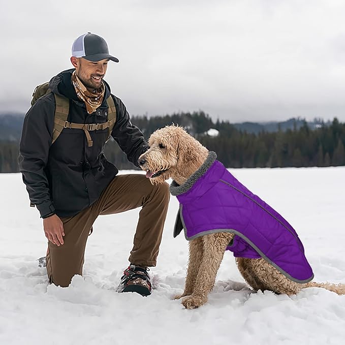 Fragralley Dog Coat Large, Waterproof Dog Jacket with Warm Fleece Lining, Adjustable Reflective Dogs Winter Coat, Turtleneck Pet Coats for Cold Weather (Purple XL)