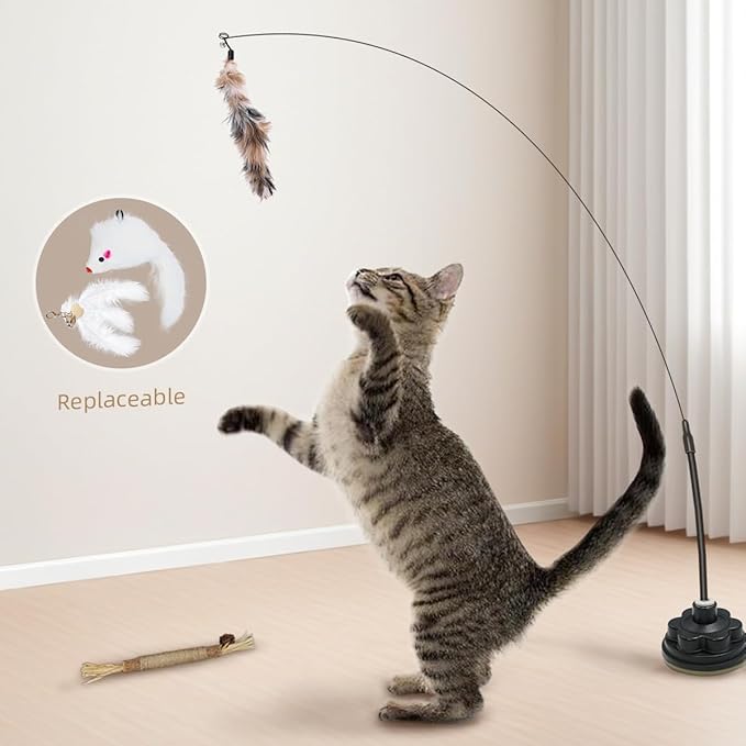 Suction Cup Cat Toys for Indoor Cats,3 in 1 Interactive cat Toys for Indoor Cats,Self Play or Handheld,Feathers & Bells,Realistic Toy Mouse and Silvervine Sticks(Black)