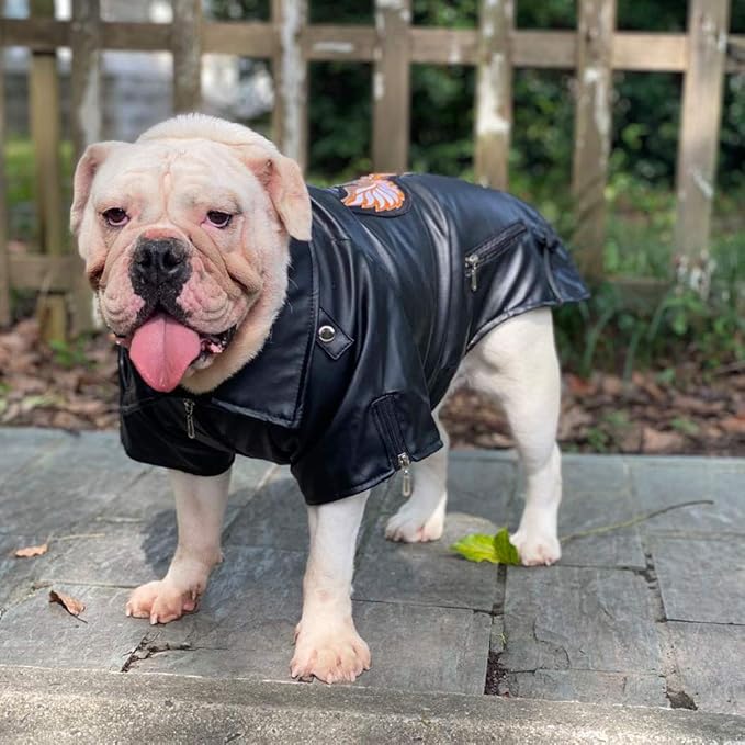 Lovelonglong Cool Dog Leather Jacket, Warm Coats Dogs Windproof Cold Weather Coats for Large Medium Small Dogs with Eagle Embroidery Black B-L