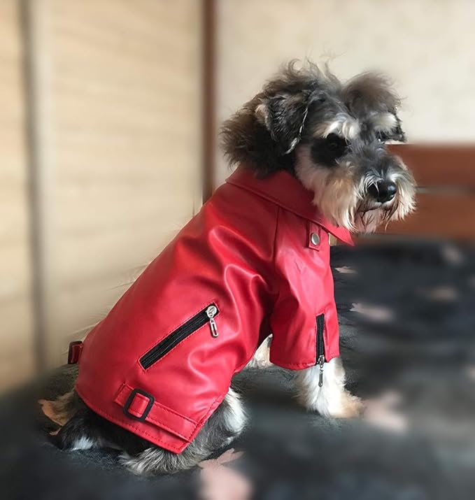 Lovelonglong Cool Dog Leather Jacket, Warm Coats Dogs Windproof Cold Weather Coats for Large Medium Small Dogs, Toy Poodle Clothing Red XS