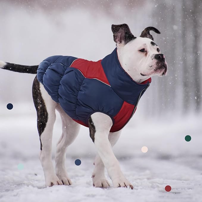 IECOii Medium Dog Coat - Waterproof, Fleece Lined, Reflective, Warm Winter Jacket