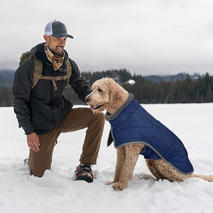 Fragralley Dog Coat Large, Waterproof Dog Jacket with Warm Fleece Lining, Adjustable Reflective Dogs Winter Coat, Turtleneck Pet Coats for Cold Weather (Blue XL)