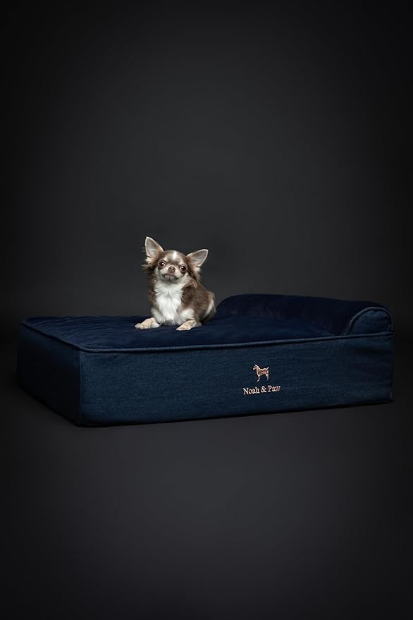 NOAH & PAW Dog Bed, 28x23x7.5 Inch, Orthopedic Dog Beds for Medium Size Pets, Eggshell Memory Foam Infused with Cooling Gel, Waterproof, Machine Washable, Includes Inner Cover (Denim Collection)
