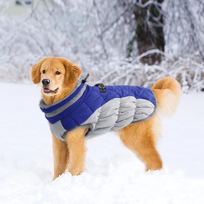 Lelepet Dog Coat Warm Dog Winter Coat Waterproof Dogs Jacket with Harness Built in Reflective Pet Fleece Vest Zip-Up Cold Weather Coats for Large Dogs Turtleneck & Windproof Coats Boston Terrier Blue