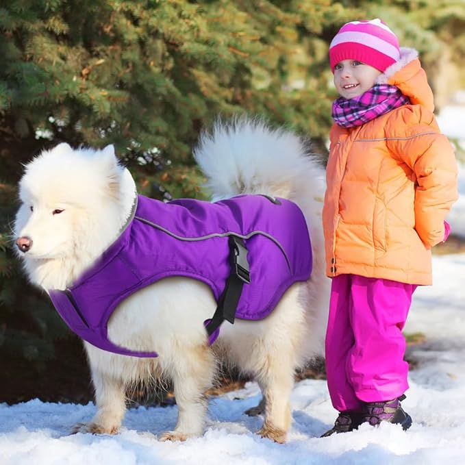 EMUST Dog Cold Weather Coats, Fleece Lining Small/Medium/Large Dog Jacket for Winter, Warm Waterproof Pet Winter Clothes for Large Dogs, Purple, XL