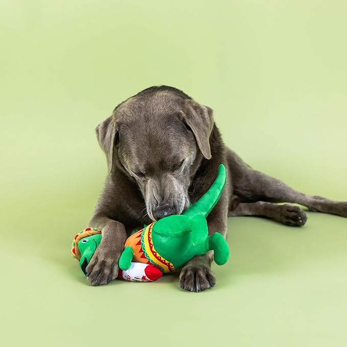 Fringe Studio "Fiesta Saurus Plush Dog Toy, Pet Shop Collection (314338)