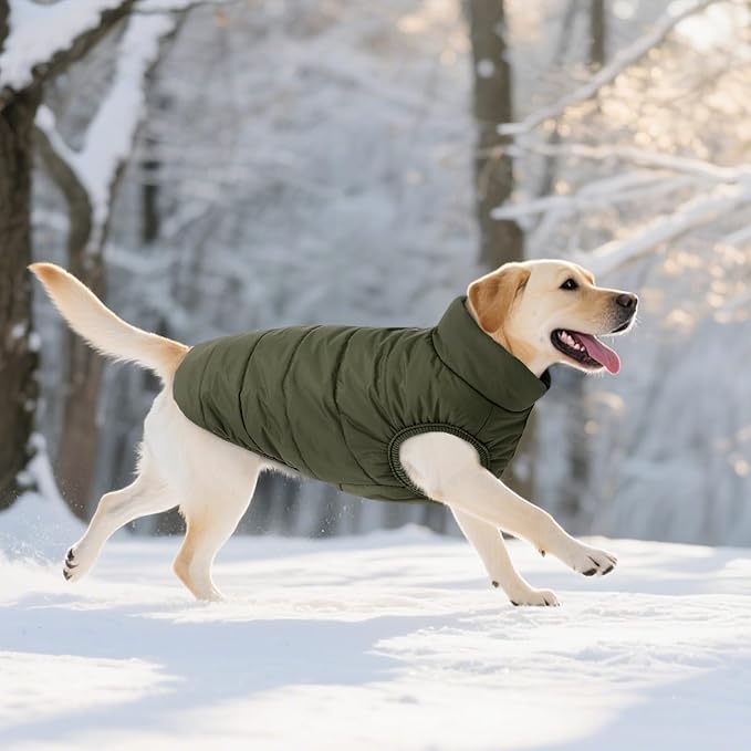 ASENKU Windproof Dog Winter Coat Waterproof Fleece Jacket Cold Weather Pet Apparel for Small Medium Large Dogs (ArmyGreen, M)