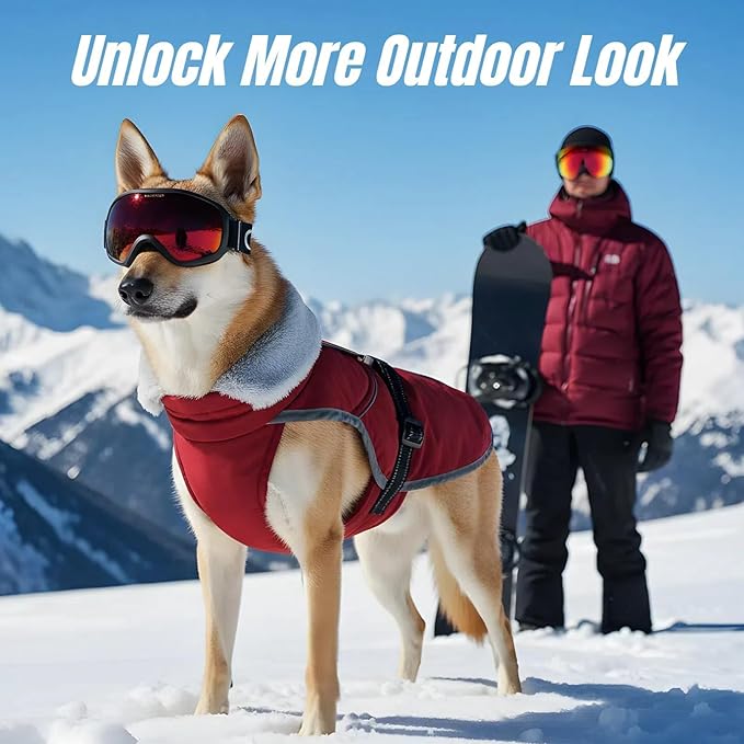 Insulated Outdoor Dog Winter Jacket, Hard Shell Dog Coat with 2 Layer Warmth, Waterproof & Lightweight Coats for Medium Dogs with Leash Portal, Neck Belly Adjustable Pet Jackets for Dachshund(Wine, M)