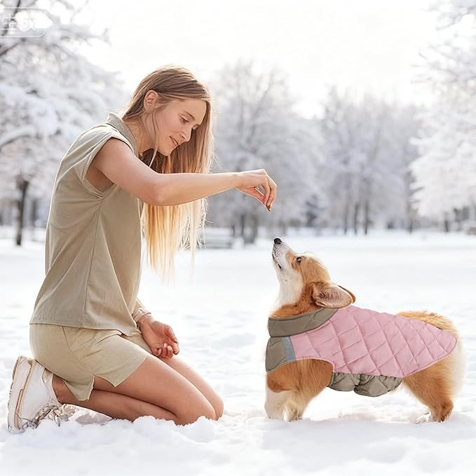 Quilted Dog Winter Coat, Plaid Lined Reversible Vest, Reflective Safety Strip, Cold Weather Pet Apparel Pink M