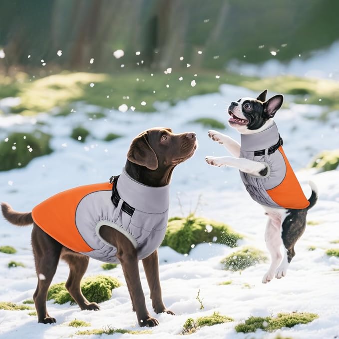 DENTRUN Dog Coat with Harness Built in, Heavy Duty Winter Dog Coat, Warm Fleece Lined Adjustable Belly for German Shepherd, Orange, XXL