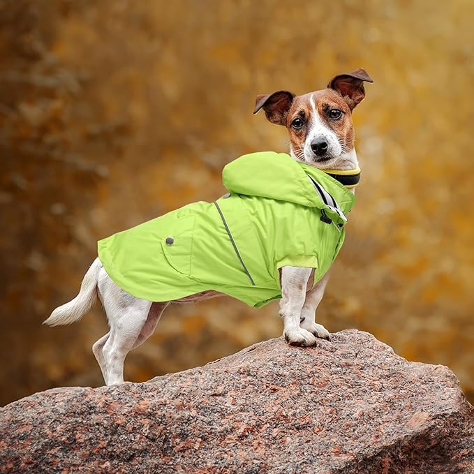 Dog Raincoat Waterproof Raincoats Dog rain Jacket Buttons Zipper Hood Drawstring Suitable for Small Medium Yorkie Terrier Schnauzer Poodle Border Collie Labrador 8lbs to 80lbs Green M