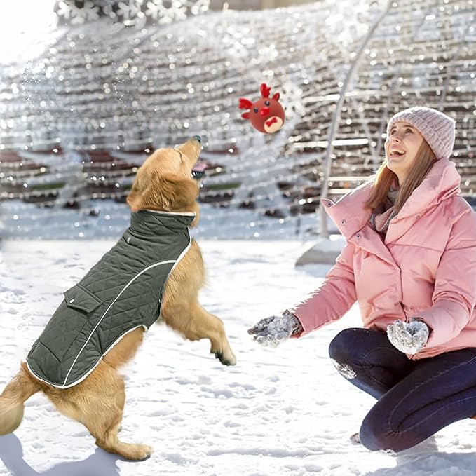 Malier Dog Winter Coat, Windproof Dog Cold Weather Coats with Real Pocket, Winter Extra Warm Pet Coat Fleece Jacket Reflective Clothes for Small Medium Large Dogs and Puppy (Green, XXX-Large)