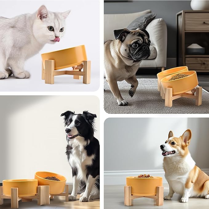 SPUNKYJUNKY 15° Slanted Ceramic Dog and Cat Bowl with Wooden Stand, Tilted Bulldog Food and Water Bowl No Slip Non-Spill for Cats Medium Dogs Big Face Pets 28.7 OZ (3.6 Cups, Yellow × 2)