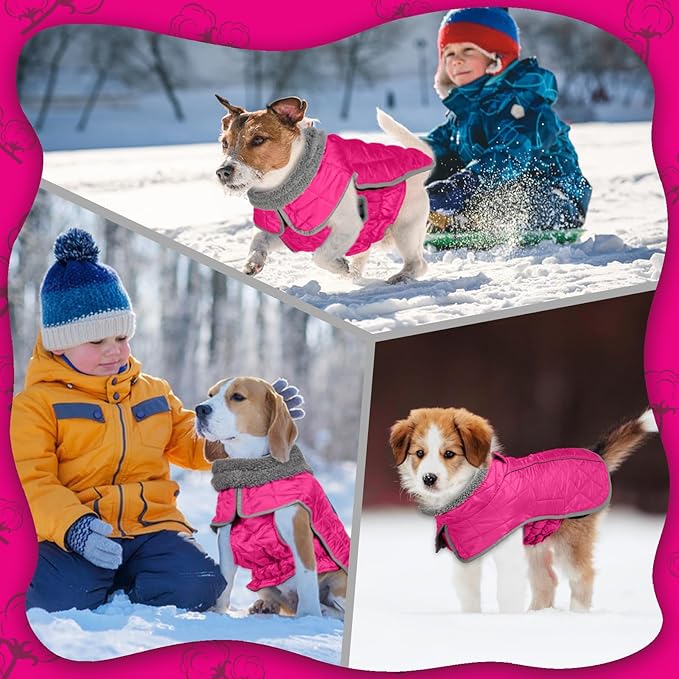 Fragralley Dog Winter Coat, Waterproof Windproof Reflective Fleece Jacket with Harness Hole, Warm Snow Vest for Small Medium Large Dogs, Ideal Gifts