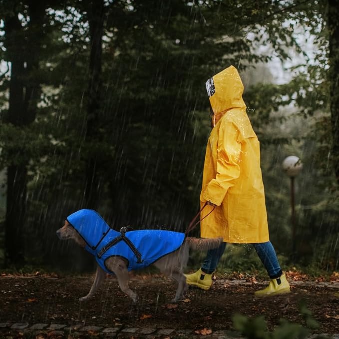 Mosucoirl Dog Raincoat Waterproof Dog Hoodie Reflective Doggie Raincoat Hooded Adjustable Rain Jacket for Small Medium Large Dogs Puppies Doggie Black Red Yellow Green (Blue, XXL)