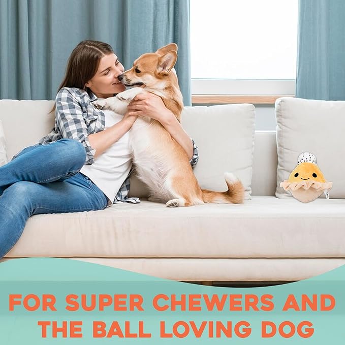 Flourish Pets 2 in 1 Multi-Layer Chew Toy for Active Dogs | Non-Toxic BPA Free Double Stitched Soft Fabric Exterior Dog Toys | Long-Lasting Dog Plush Toys β Pumpkin Pie