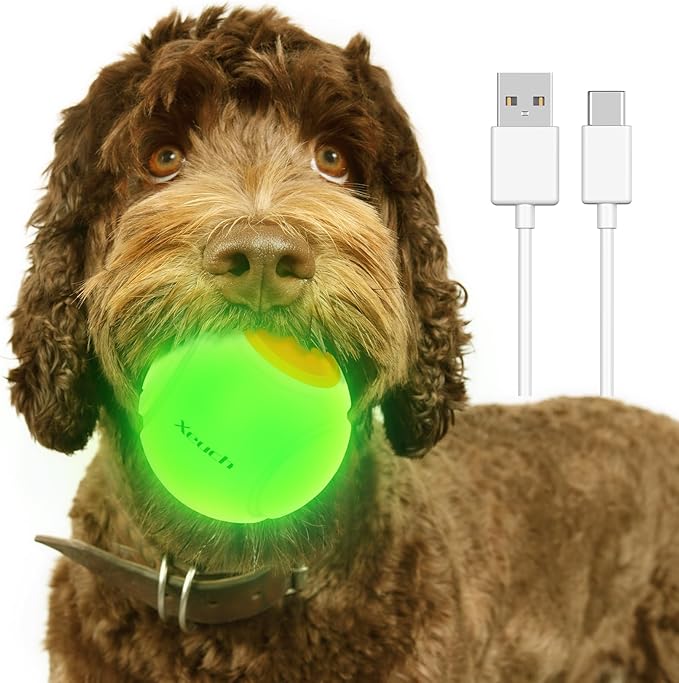 LED Dog Ball Rechargeable, Light Up Dog Ball Toys, Bounce-Activated Durable Fetch Ball, Natural Rubber, Unique Scent, 2.5 inches, for Small & Medium Dogs (Orange)