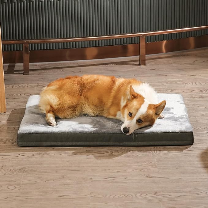 Amazon Basics Dog Bed with Cooling Gel Memory Foam, Pressure-Relief Support for Dogs up to 90lbs, Non-Slip Bottom, Machine Washable Cover, Extra Large Sized (41" x 29"), Grey