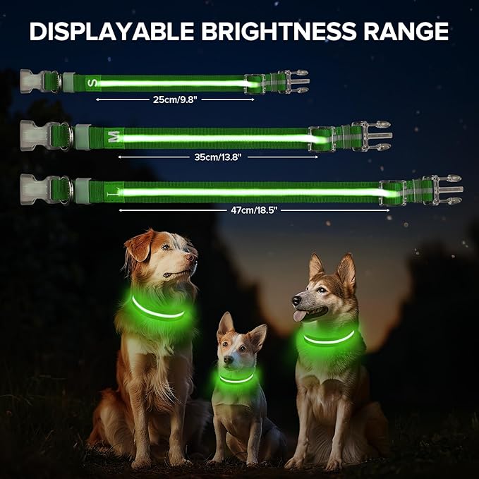 JewyowLight Up Dog Collar, Adjustable USB Rechargeable Glow in Dark Dog Collar ,Waterproof Dog Collars for Large Dogs (Green, Large)