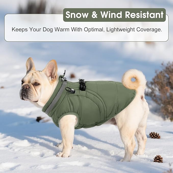 SAWMONG Dog Coat, Warm Dog Winter Coat, Waterproof Fleece Jacket, Cold Weather Dogs Jacket (L,Green)
