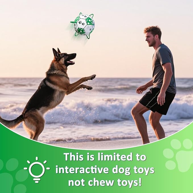 Size 2 Dog Soccer Ball with Straps White & Green Durable Training Ball for Pets Interactive Outdoor Dog Toy, for Small & Medium Puppies, Pet Supplies