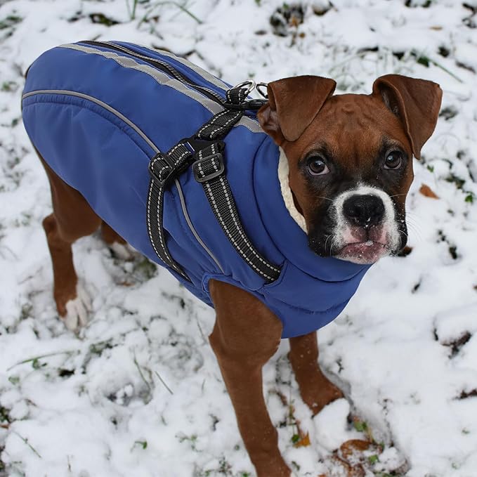 Dog Winter Coat with Harness Built in Warm Puffer Dog Jackets for Small Medium Large Dogs Windproof Waterproof Outfit with Plush Lining and Reflective Stripes (Blue, L)