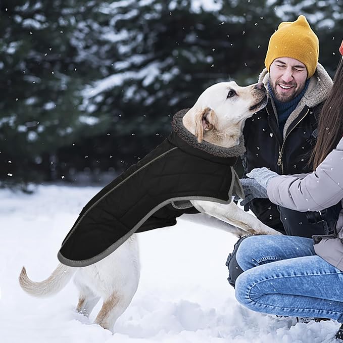 Fragralley Dog Coat Large, Waterproof Dog Jacket with Warm Fleece Lining, Adjustable Reflective Dogs Winter Coat, Turtleneck Pet Coats for Cold Weather (Black XXL)