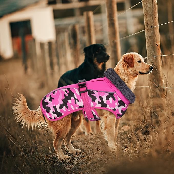 IECOii Extra Warm Dog Coat - Reflective Adjustable Dog Jacket with Buckle Fleece Turtleneck for Cold Weather - Soft Winter Coat for Small, Medium, Extra Large Dogs
