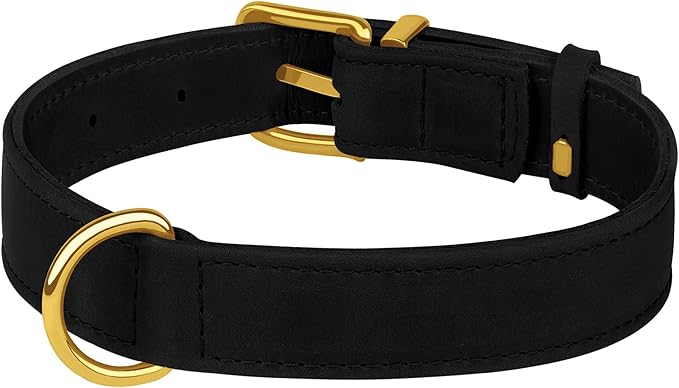 Leather Dog Collar - Heavy Duty Adjustable Soft Padded Pet Collars for Small Medium Large Dogs Breed - Black Green Brown Pink Red Blue (Black, XL, 19"-24" Neck Fit)
