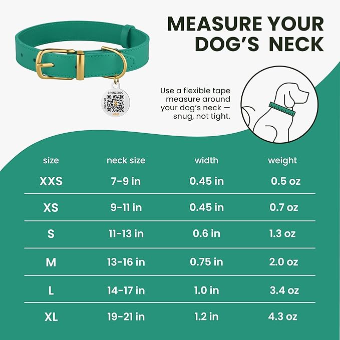 BRONZEDOG Leather Dog Collar with Metal Buckle Durable Basic Pet Collars for Small Medium Large Dogs (13-16 Inch (Pack of 1), Green & Gold Buckle)