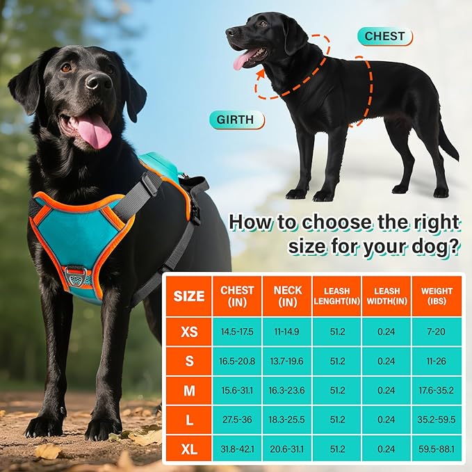 No Pull Dog Harness, 2 in 1 Retractable Harness with Auto-Lock, Reflective Breathable Mesh and Handle, Adjustable Leash Set for Small, Medium,Large Dogs,Cats (Color 1, L)