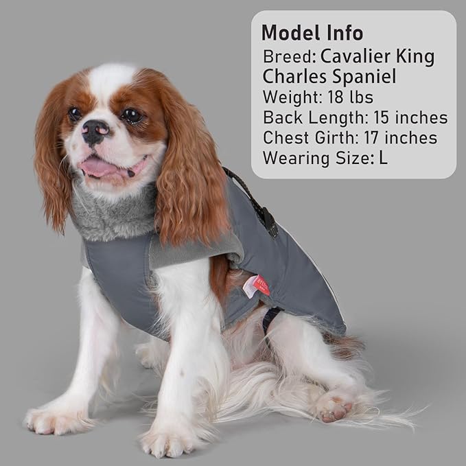 KYEESE Waterproof Dog Coat, Windproof Warm Winter Jacket with Thick Fleece Lined, Turtleneck Dog Coats for Small Dogs with Leash Hole, Reflective Outdoor Cold Weather Coat, Gray, Medium
