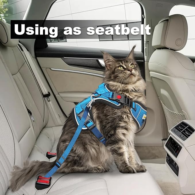 Cat Harness and Leash for Walking, Retractable Cat Harnesses and Leash Set Escape Proof, Breathable Soft Kitten Small Large Harness for Travel Training and Walking, Blue, S