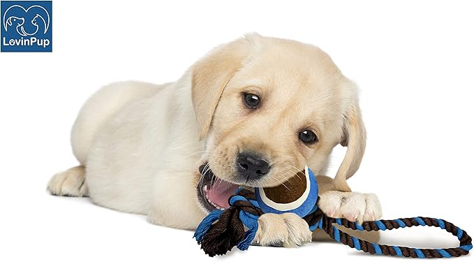 Dog Rope Toy with Tennis Ball, Nylon Rope with Balls, Fun Tug of War Toy for Dogs, Tough Dog Toy for Aggressive Chewers, Eskimo, Terrier, Beagle & More (3 Set Rope Dog Toy Red Ball)