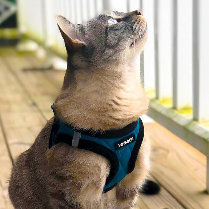 Best Pet Supplies - All Weather Mesh / Plush, Reflective, No Pull Harness for Small, Medium Dogs, Cats - Secure with Hook & Loop Fastener, Buckle, Double D-Rings - Turquoise Plush, L