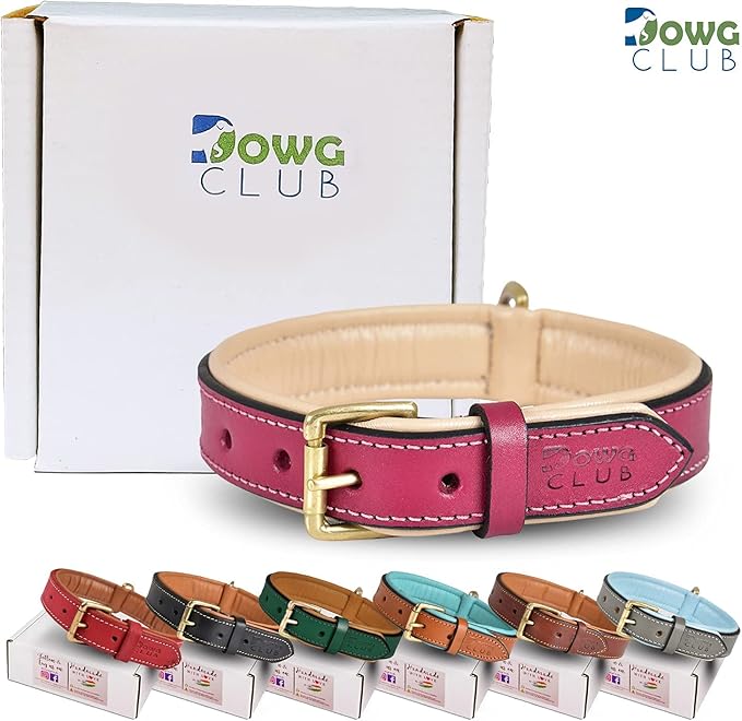 Genuine Leather Dog Collar | Full Grain, Heavy Duty, Comfortable, Padded, Strong | Best for Pups, Small, Medium, Large & XL Breeds (X-Large (Fit Neck Size 22"-26"), Dark Pink)